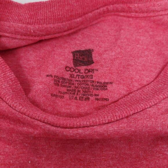 Hollister Polo in Salmon Pink Mens XL w/ Bonus Pink Hanes T-shirt - Picture 6 of 6